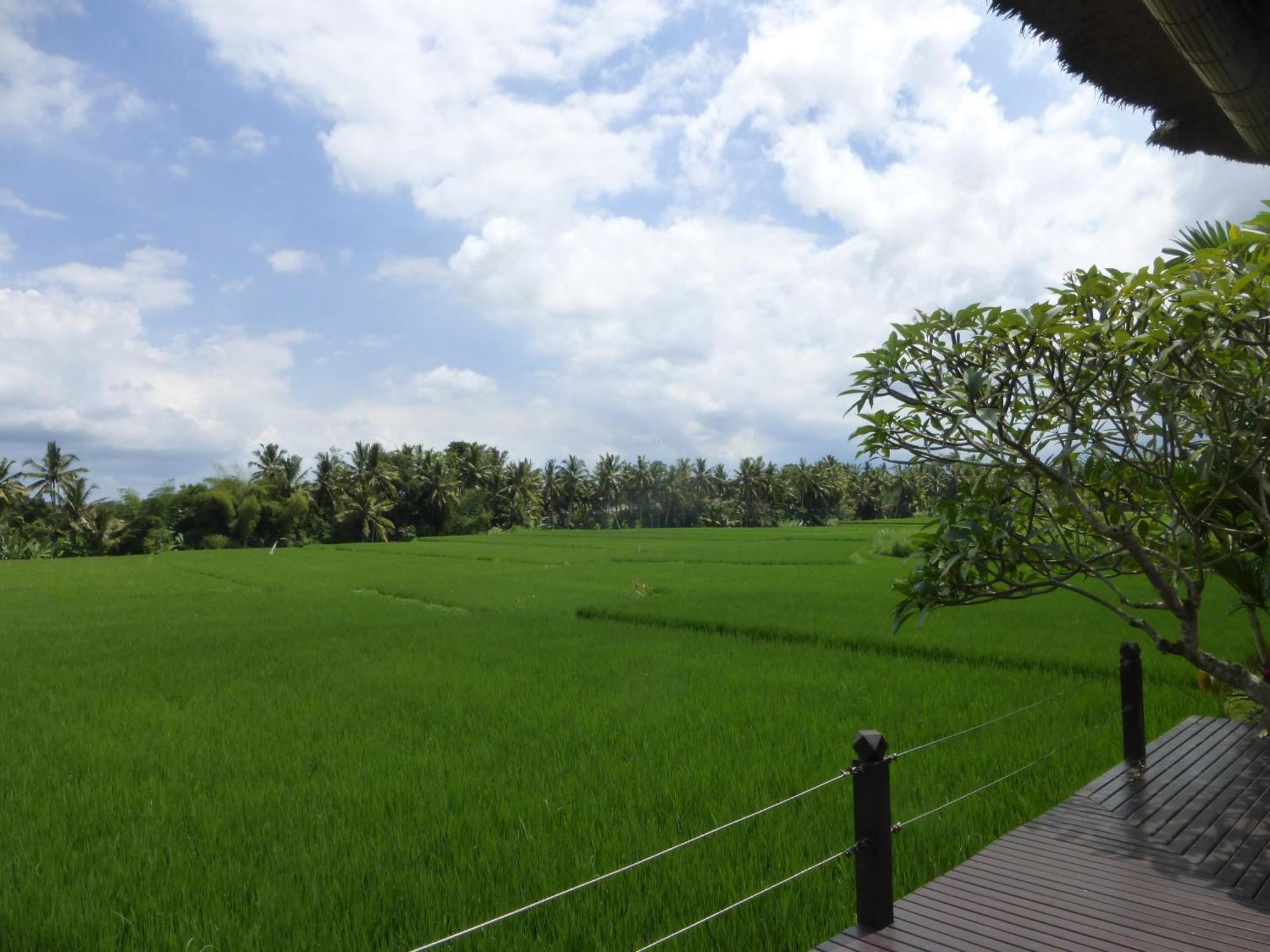 Bali Harmony Villa ウブド 部屋 写真